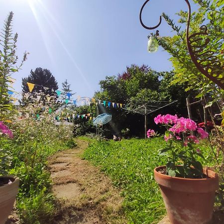 Modernes Zimmer Am Park Mit Garten, Huehner & Enten München Eksteriør bilde