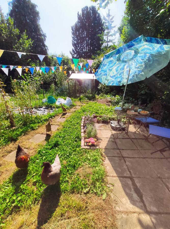 Modernes Zimmer Am Park Mit Garten, Huehner & Enten München Eksteriør bilde