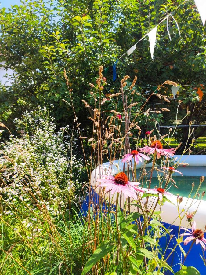 Modernes Zimmer Am Park Mit Garten, Huehner & Enten München Eksteriør bilde