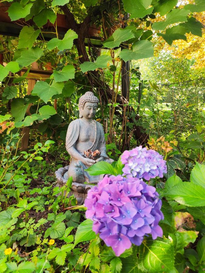 Modernes Zimmer Am Park Mit Garten, Huehner & Enten München Eksteriør bilde