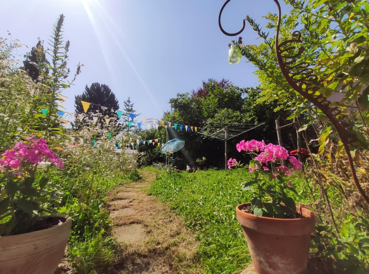 Modernes Zimmer Am Park Mit Garten, Huehner & Enten München Eksteriør bilde